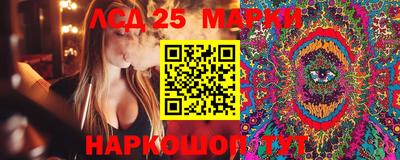 амф Кингисепп