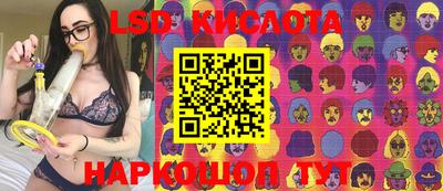 амф Кингисепп