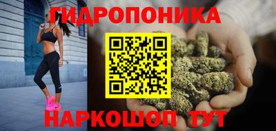 эйфоретик Кандалакша