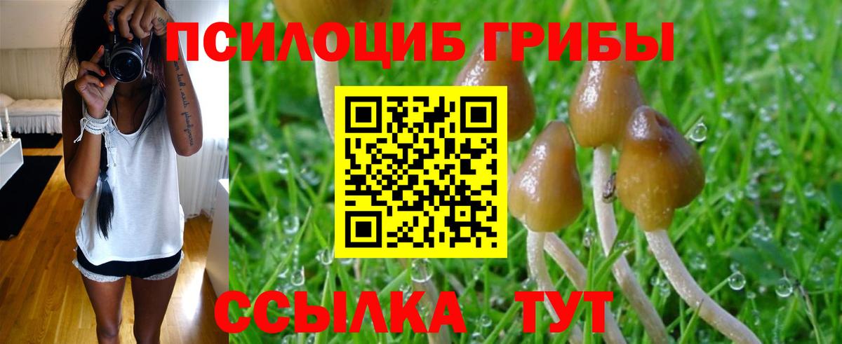 Кушва  Псилоцибиновые грибы мицелий  Галлюциногенные грибы Magic Shrooms  Вход с VPN 